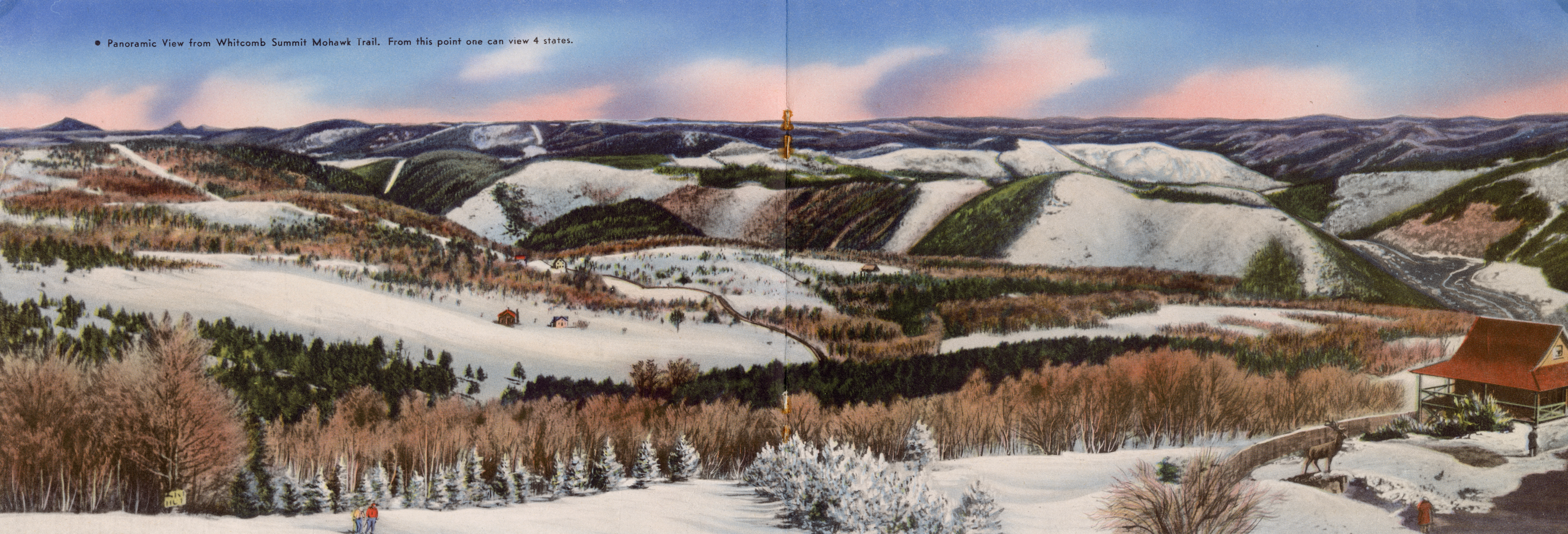 Mohawk Trail State Forest